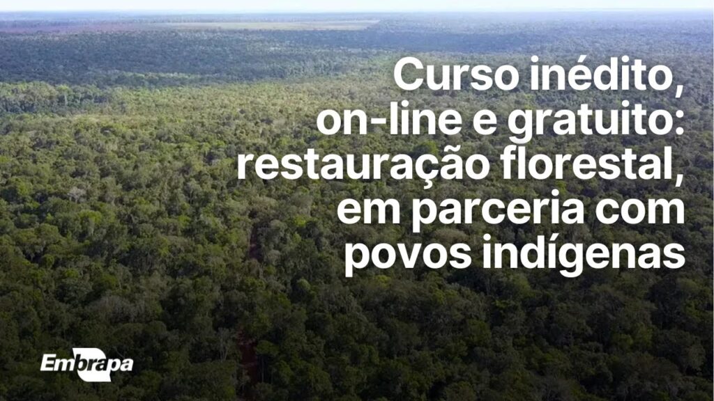 curso sobre restauracao florestal em parceria com povos indigenas