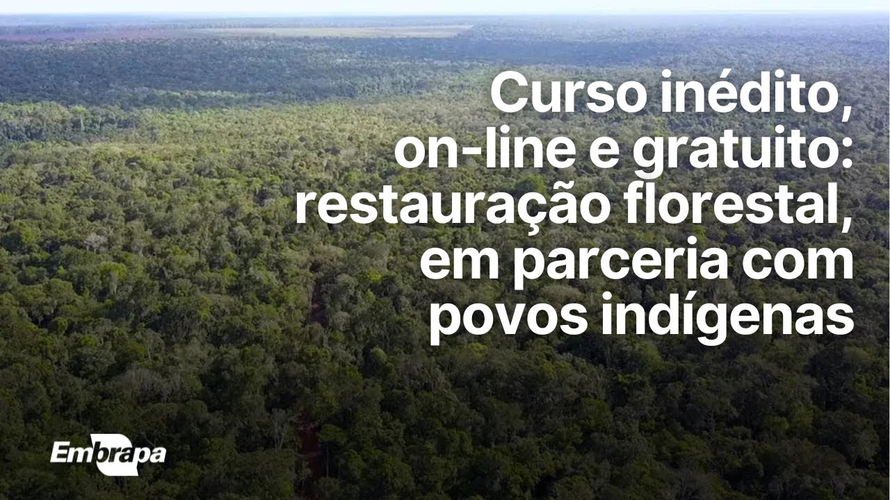 curso sobre restauracao florestal em parceria com povos indigenas
