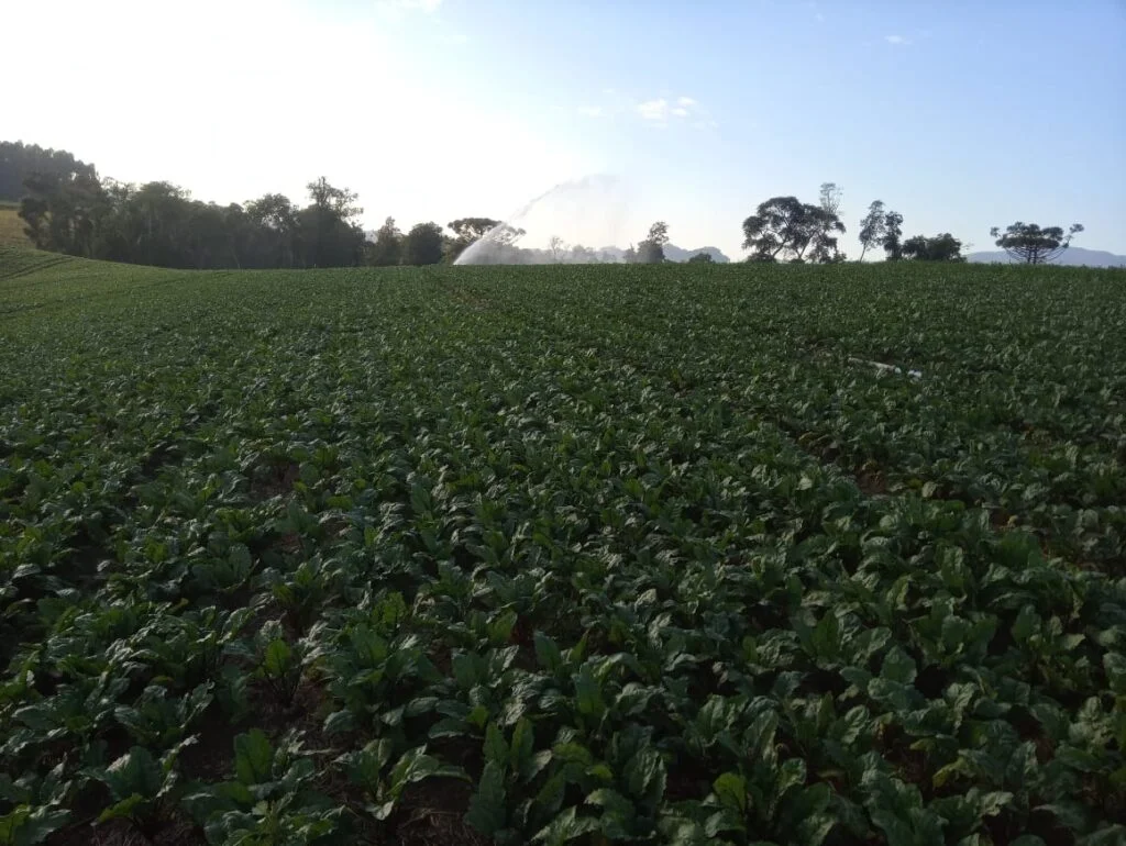 Descubra a nova ferramenta agrícola 4 Secretaria de Estado da Agricultura e Pecuária e Secretaria de Governança Fundiária promovem Oficina Nacional de Crédito Fundiário
