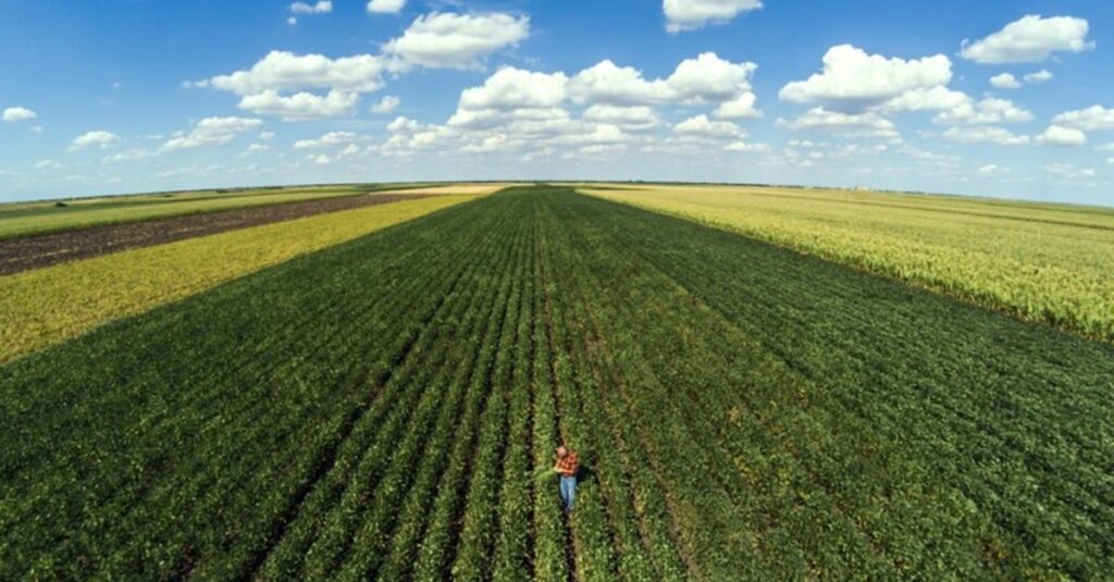 Descubra as novidades do Plano Safra do Paraná! 7 Paraná propõe Plano Safra 2024/25 com R$ 568 bilhões