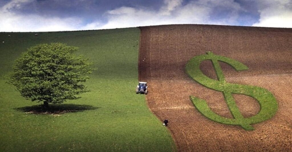 Desembolso do crédito rural chega a R$ 293,1 bilhões