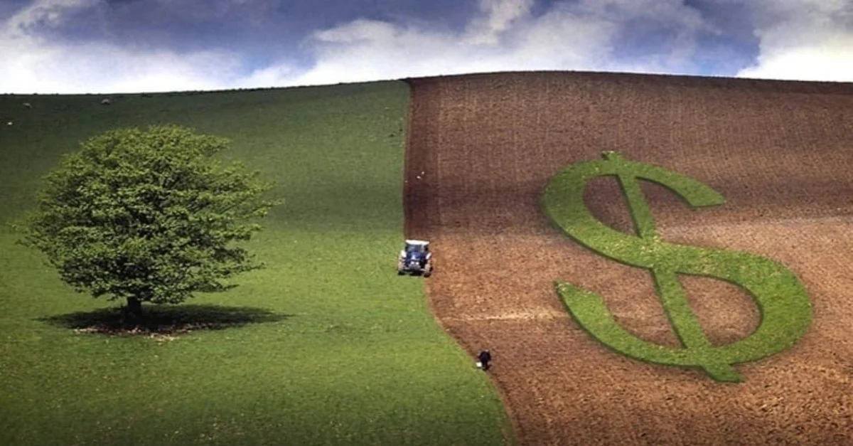 Desembolso do crédito rural chega a R$ 293,1 bilhões