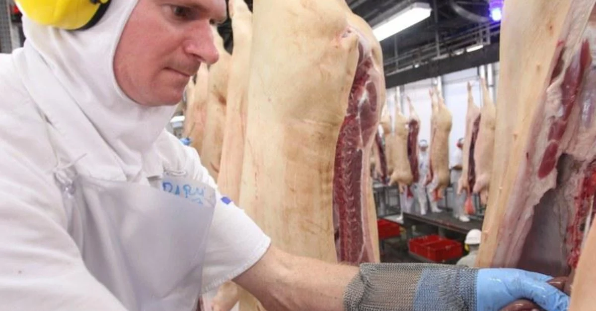 Descubra como garantir a segurança na indústria. 5 Quais ações são necessárias para a segurança do trabalho na indústria?