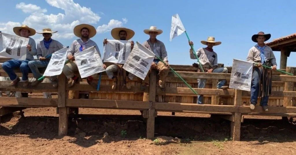 Bem-estar animal: entenda os impactos que as boas práticas trazem para as fazendas