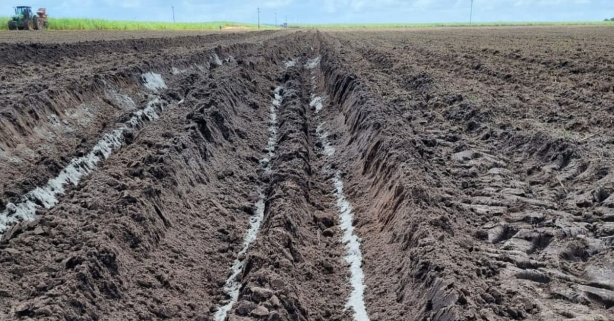 Pó de rocha: descubra como o fertilizante é uma alternativa viável para pastos e lavouras