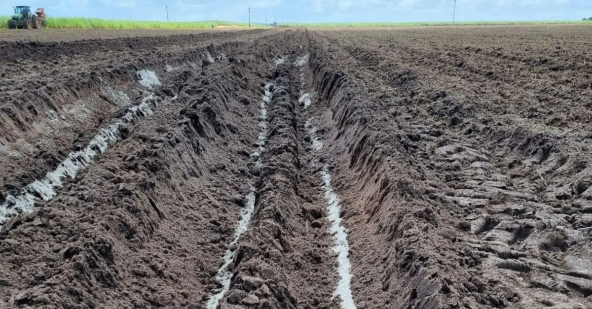 Descubra o poder do pó de rocha!