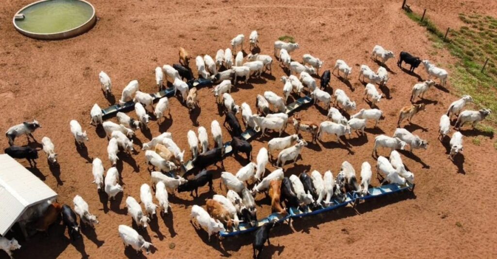 Especialista faz o checklist dos equipamentos essenciais para a fazenda