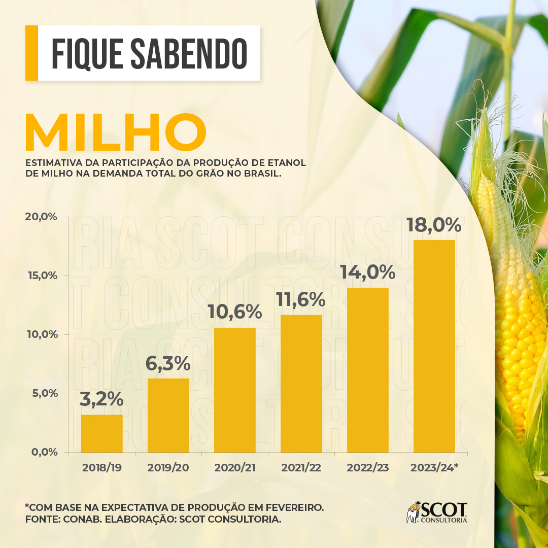 Descubra o segredo do crescente consumo de milho! 10 descubra o segredo do crescente consumo de milho 1