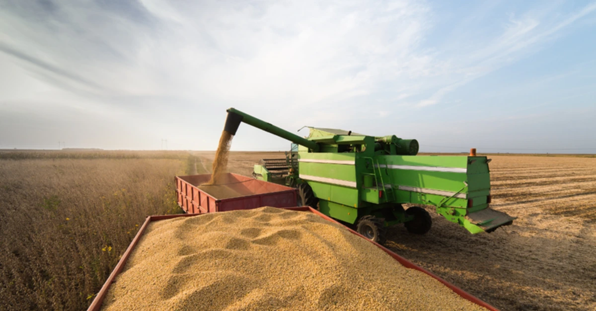 Descubra o segredo do crescimento do PIB. 14 PIB brasileiro cresce devido a agropecuária brasileira