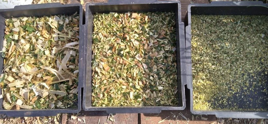 Descubra o segredo do sucesso na lavoura! 31 Facebook