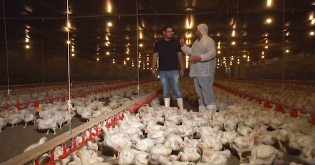 Descubra o segredo e surpreenda-se!