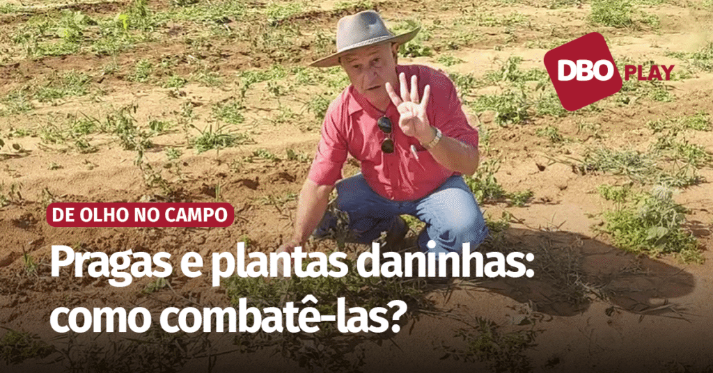 Elimine as invasoras do pasto de forma definitiva! • Portal DBO