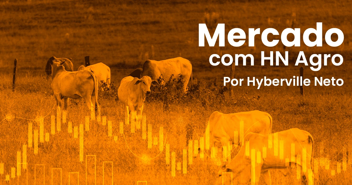 "Descubra o significado do ágio do bezerro: o que isso revela?" • Portal DBO 5 Mercado impactou investimento em inseminação • Portal DBO