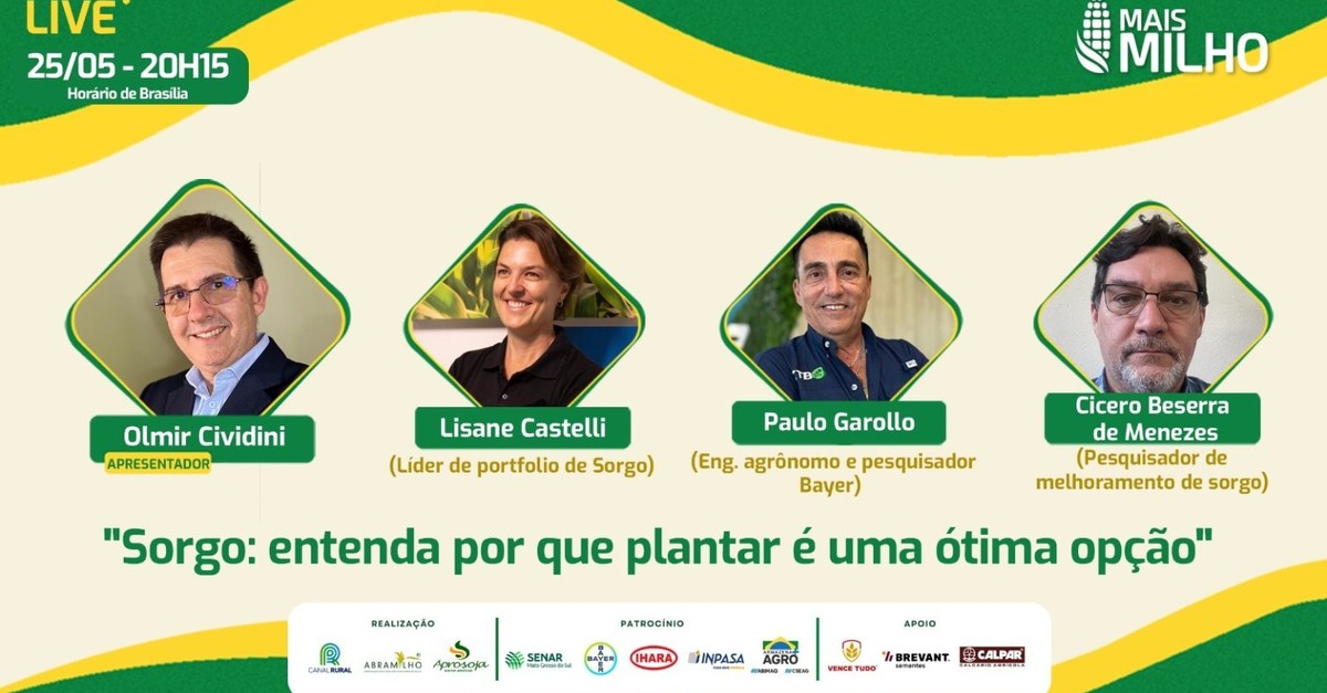 Descubra os benefícios do plantio de sorgo!