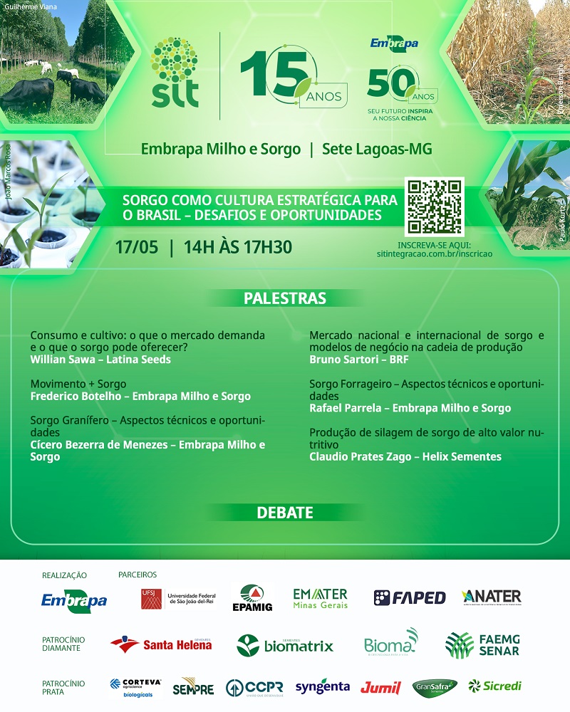 Descubra os benefícios do sorgo!