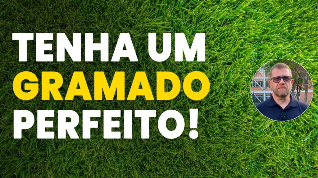 dicas para gramado perfeito