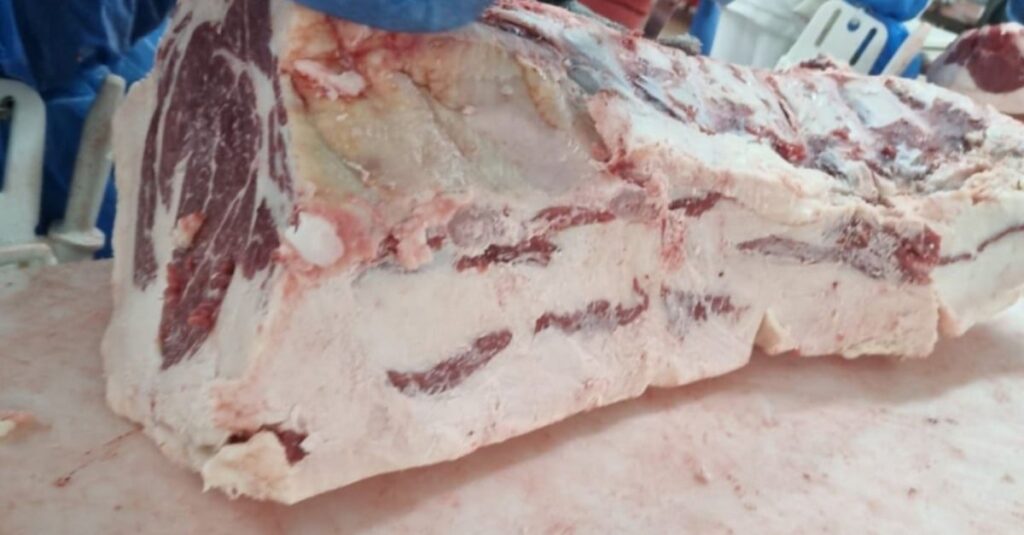 Excesso de gordura pode encarecer em até 3,5 vezes o custo da arroba produzida na engorda