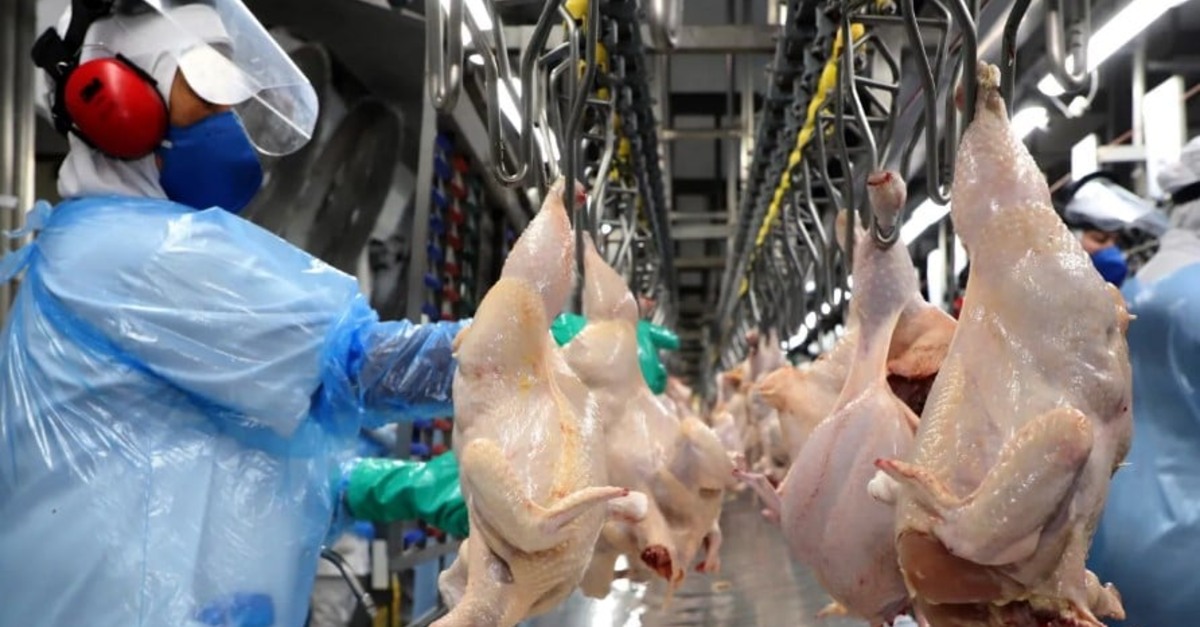 Brasil negocia expansão de mercado para frango com EUA