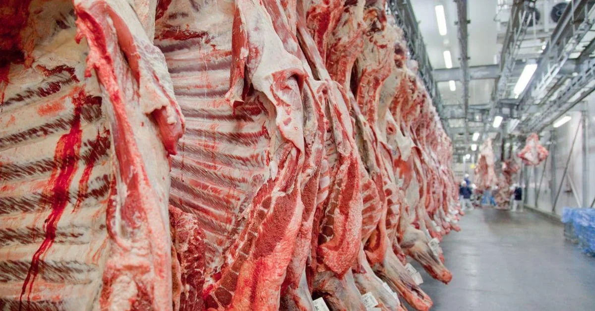Exportação de carne bovina brasileira: crescimento surpreendente! 12 exportacao de carne bovina brasileira crescimento surpreendente 1