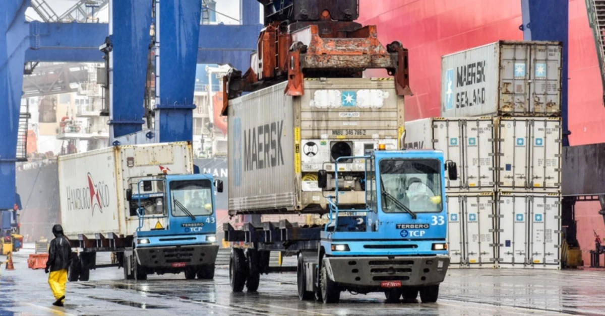 Exportações de carne de SC disparam em 2024 • Portal DBO.