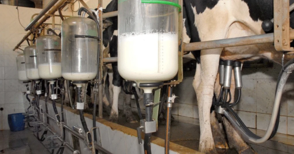 Faesp solicita medidas fiscais de Tarcísio 1 preço do litro captado em janeiro sobe 4,5% no País, para R$ 2,1347, aponta Cepea • Portal DBO