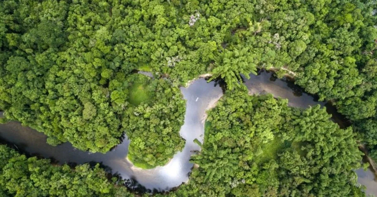 Fazenda embargada pelo Ibama regularizada em sete meses! 18 Escritórios Verdes: fazenda embargada pelo Ibama é regularizada em sete meses em Rondônia