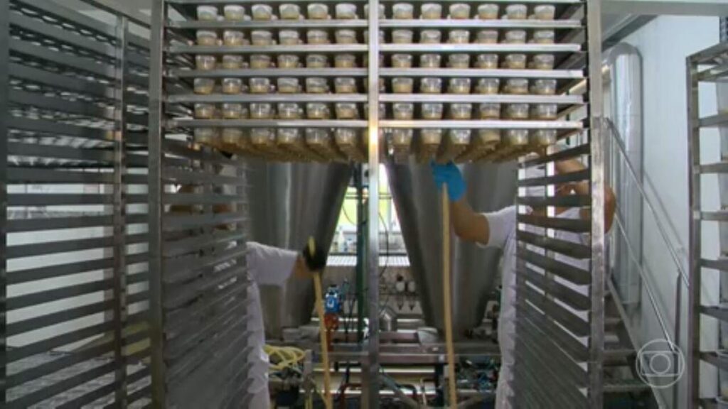 Tecnologias para preservação do meio ambiente são destaque em feira agropecuária no RS | Jornal Nacional