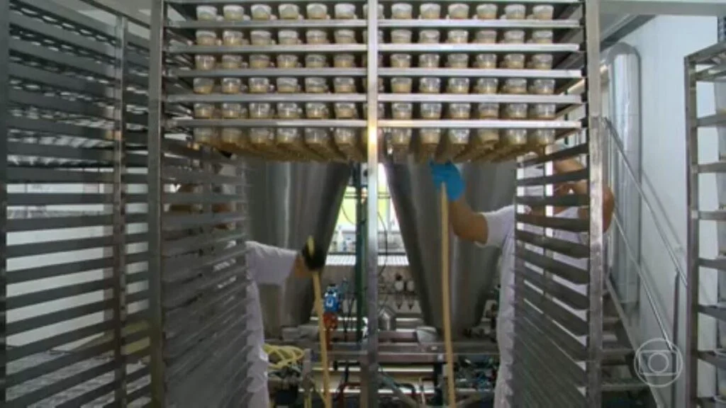 Tecnologias para preservação do meio ambiente são destaque em feira agropecuária no RS | Jornal Nacional