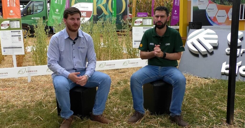 Epidemia de Ferrugem Asiática Marca Safra de Soja 23/24