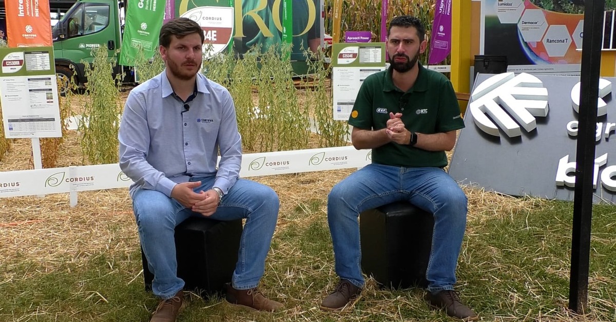 Ferrugem Asiática ameaça safra de soja – descubra mais!