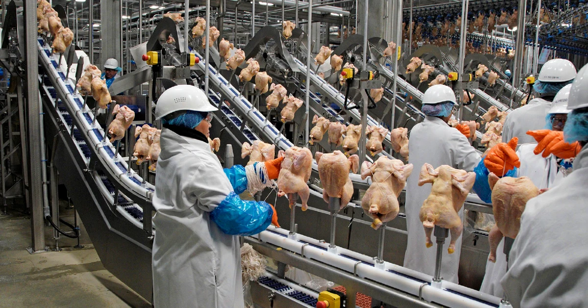 fim da tarifa antidumping na China deve ampliar exportações do PR • Portal DBO