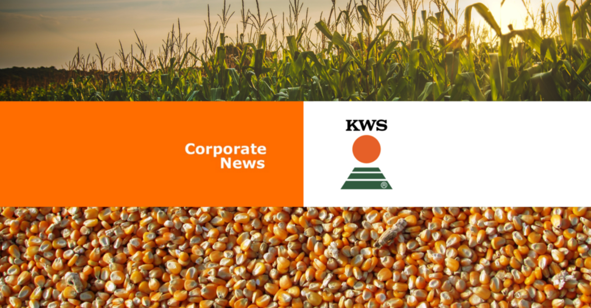 GDM compra negócio milho KWS