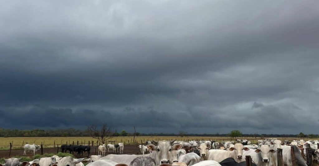 Instabilidade climática persiste: saiba como isso impacta a agropecuária