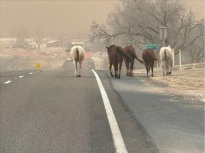 Incêndio misterioso no Texas Panhandle 2024.
