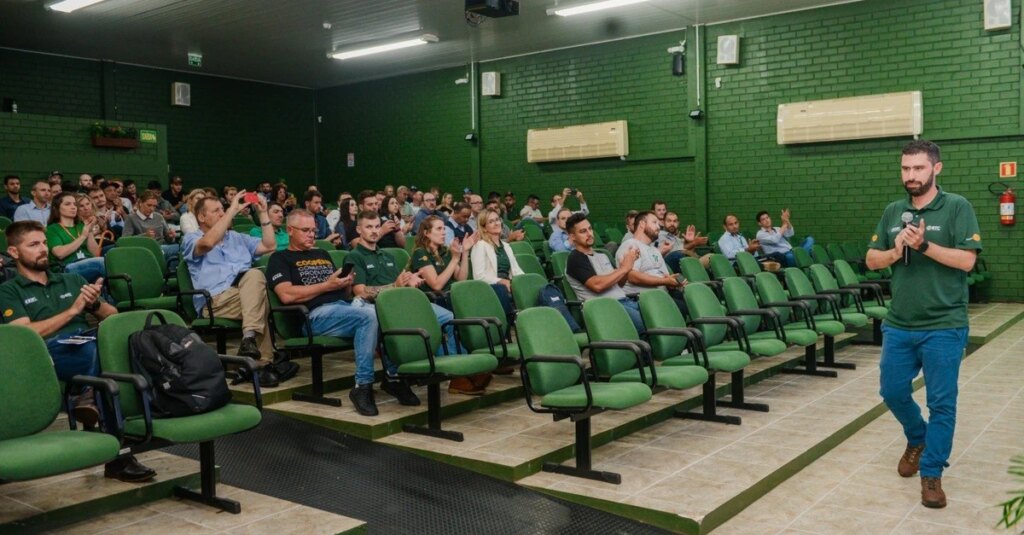 Produtividade do milho cai por causa de pragas e doenças