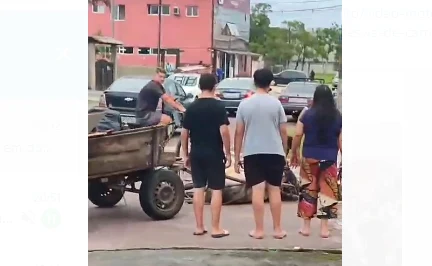 Cavalo que puxava carroça cai desfalecido em rua de Guaratuba; vídeo