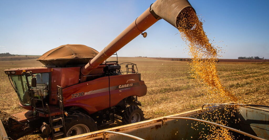 Milho: Negociações seguem enfraquecidas - Destaque Rural