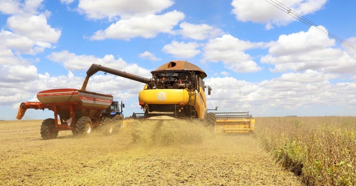 Novos dados sobre colheita intrigam. 3 Novos dados sobre colheita intrigam.