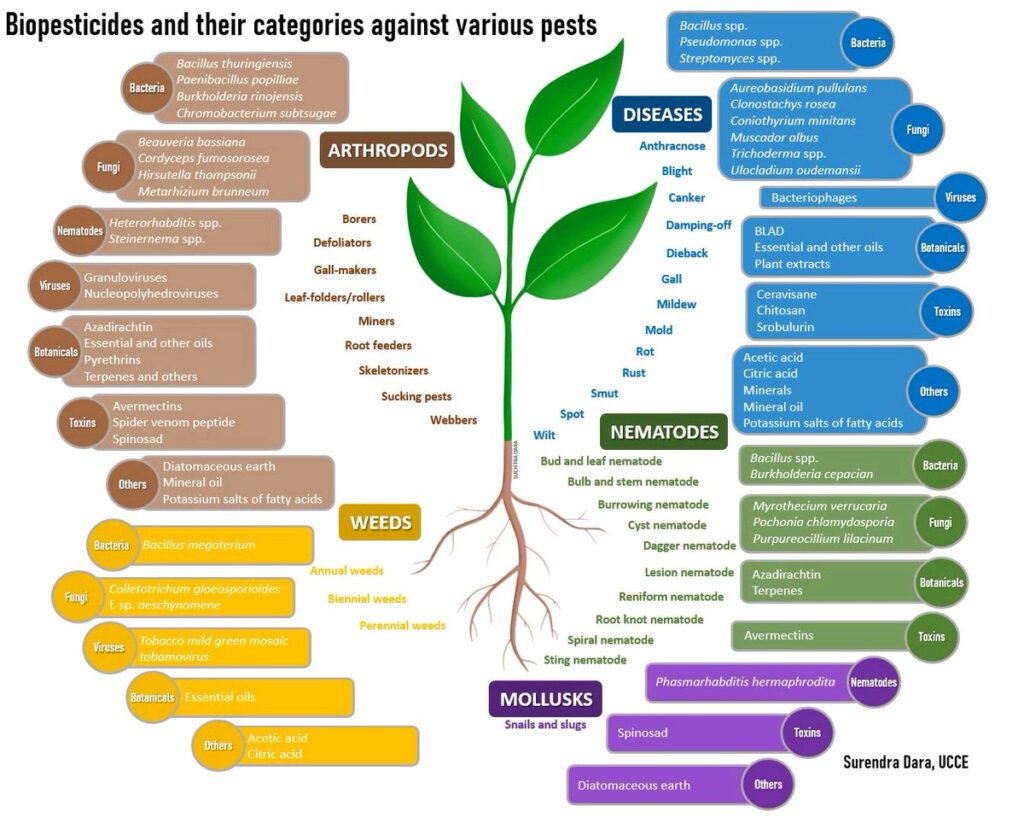 Você está visualizando atualmente Biopesticidas ou biodefensivos: o que temos disponível no mercado para o controle biológico?