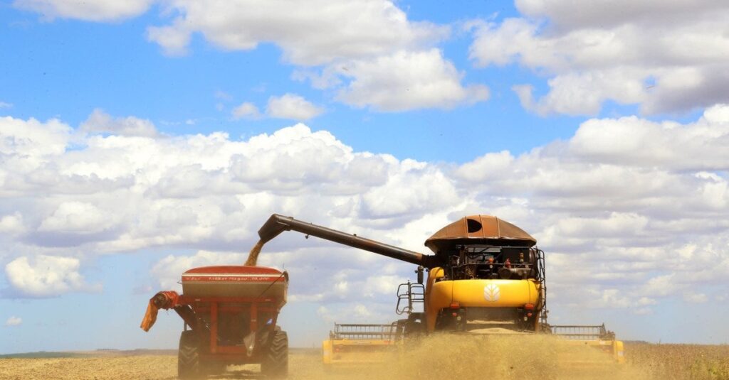 Paraná cresce 13,6% nas exportações comparado ao ano passado