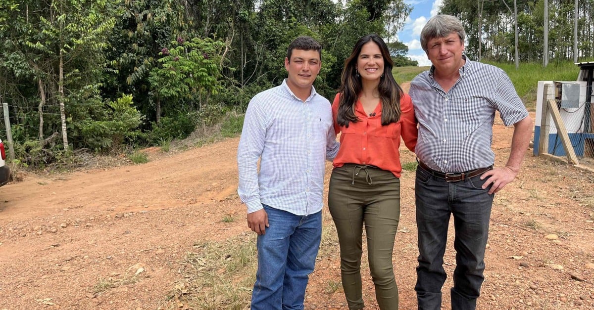 Parceria pai e filho otimiza desempenho na granja.