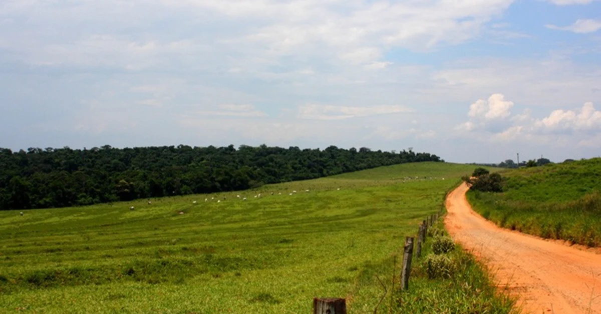 Pedidos de recuperação rural disparam em 2023 1 Pedidos de recuperação de produtores rurais crescem 535% em 2023, diz Serasa • Portal DBO