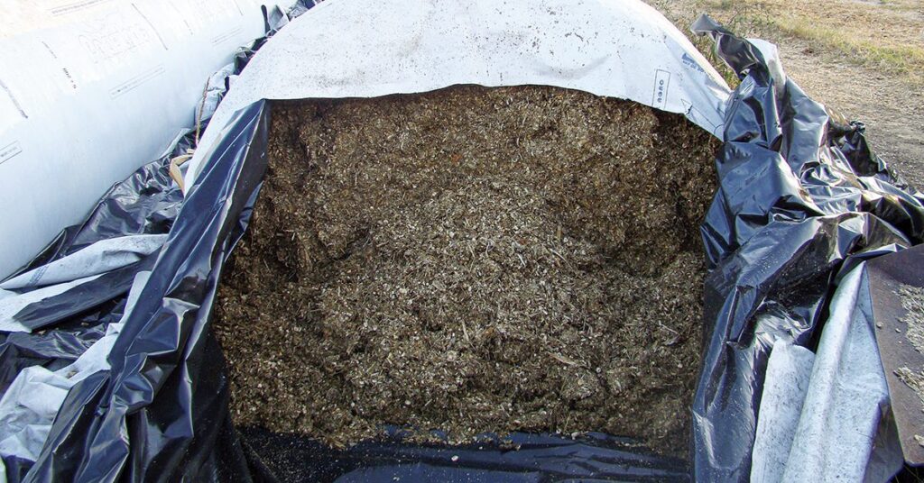 Quando a silagem faz mal! • Portal DBO - Portal DBO