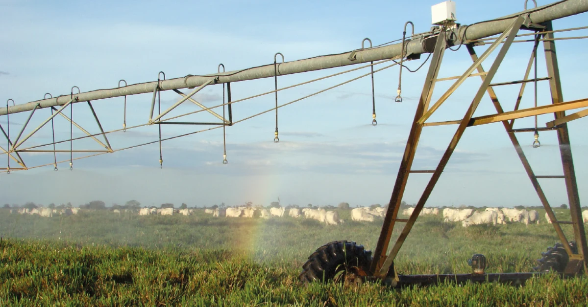 PIB agro em queda: o que levou? 34 Produção agrícola cresce, mas queda de preço leva PIB agro a cair 3% em 2023 • Portal DBO