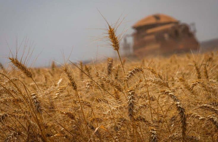 PIB brasileiro cresce 2,9% em impulso agropecuário