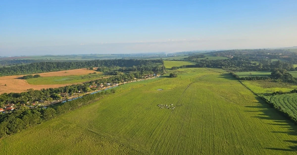 Preço e disponibilidade geram incertezas na nutrição animal.
