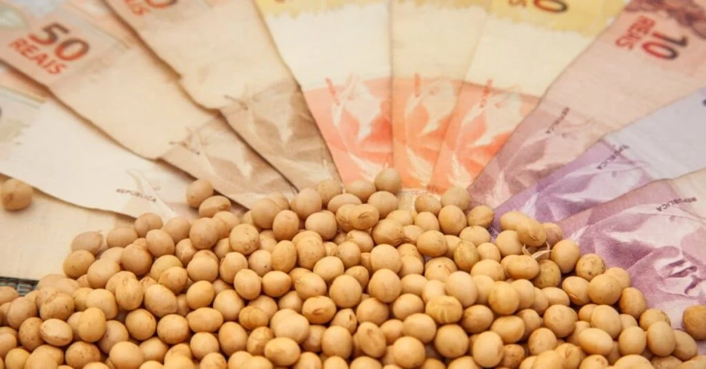 Preços da soja esta semana: surpreenda-se! 6 precos da soja esta semana surpreenda se 1