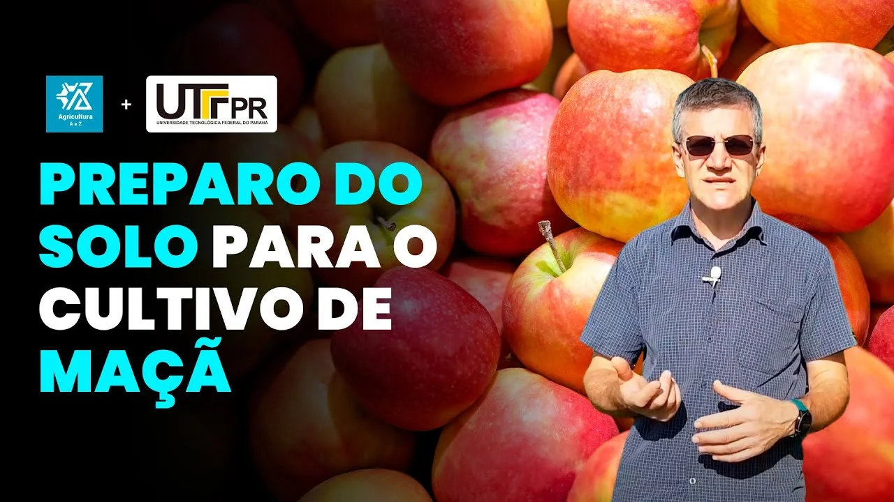 preparo ideal do solo para maca