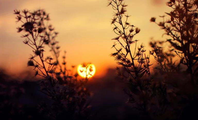 previsao do tempo pelo ministerio da agricultura 1