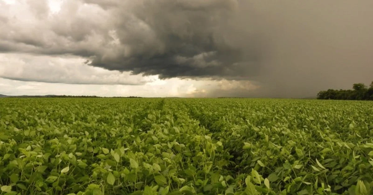 Previsão: Tempo instável na RS. 8 Umidade e chuva marcam a próxima semana no RS